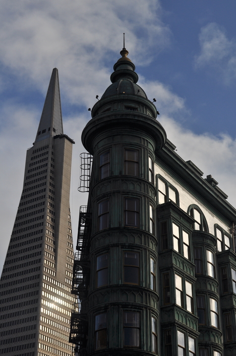 Portrait of San Francisco Bay