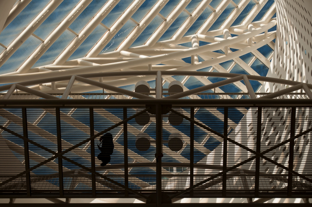 Portrait of San Francisco Bay