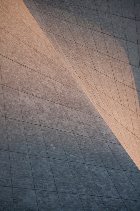 Portrait of San Francisco Bay